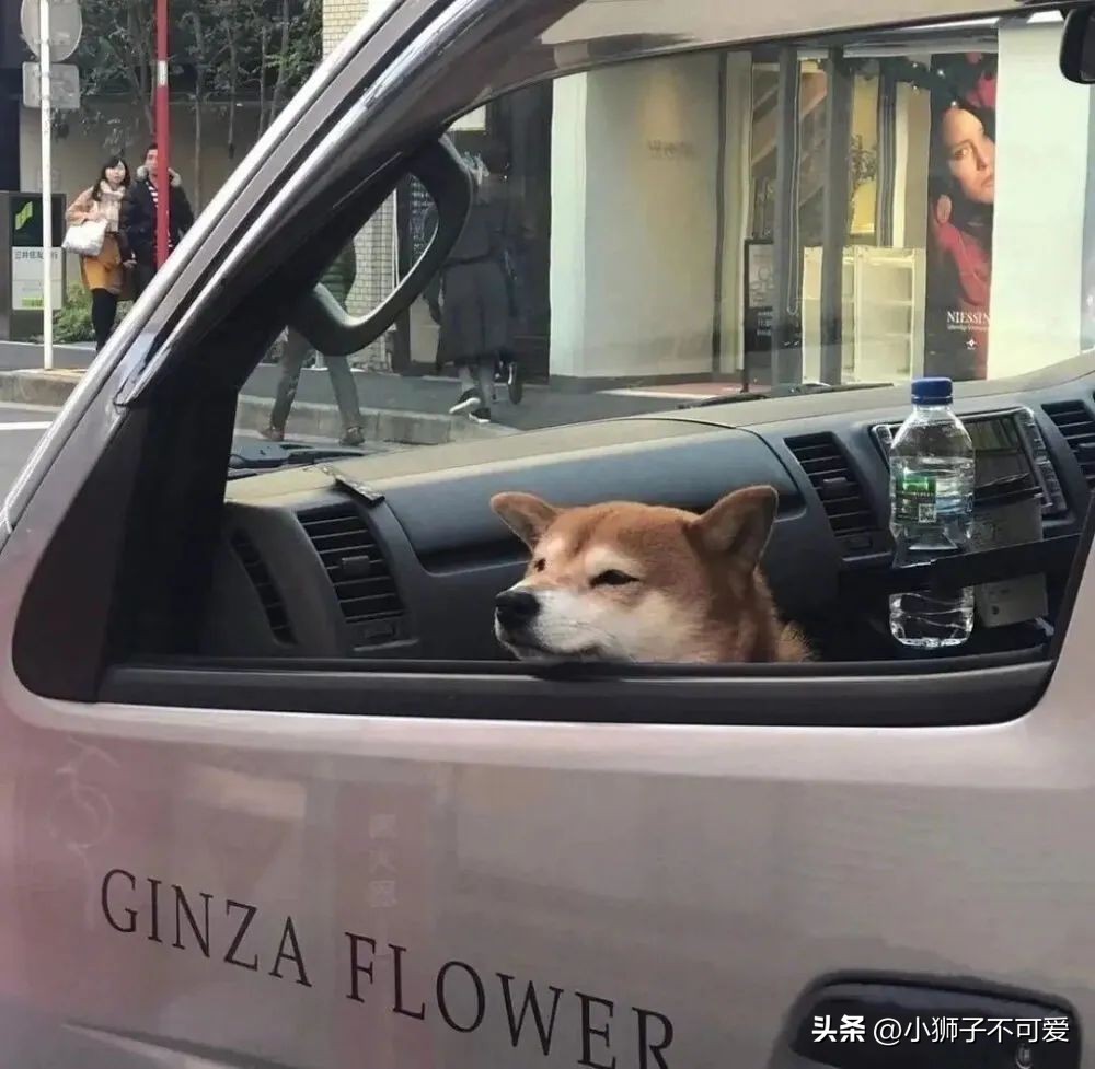 情侣动漫头像文案,微信情侣头像一男一女动漫情侣