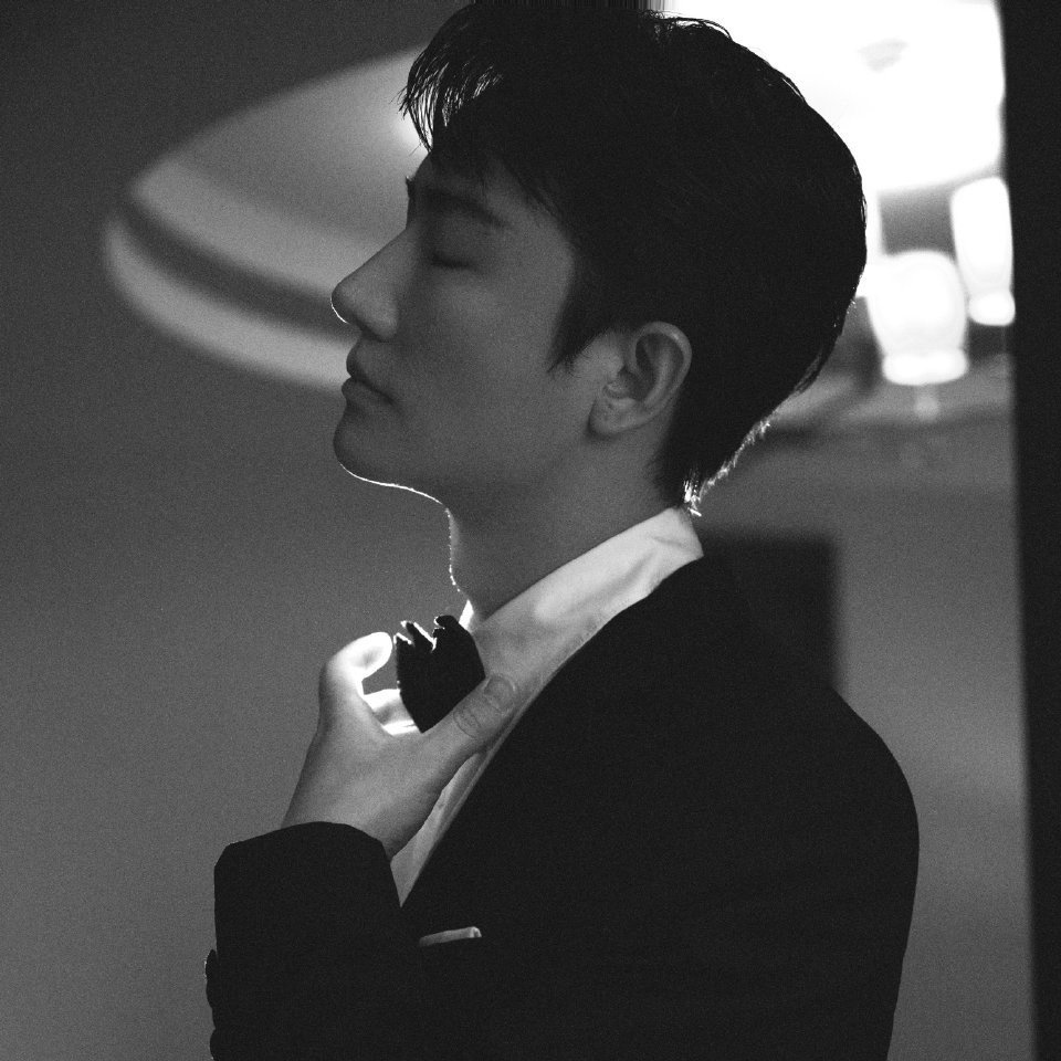 殷桃领奖穿搭,殷桃以往红毯造型