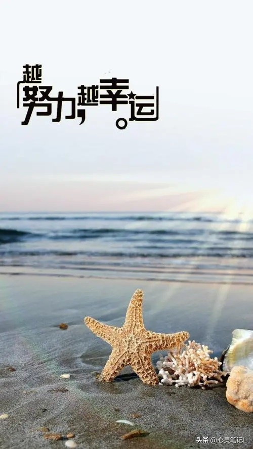 高考励志语录送给高三的学生们,励志高考语录推荐