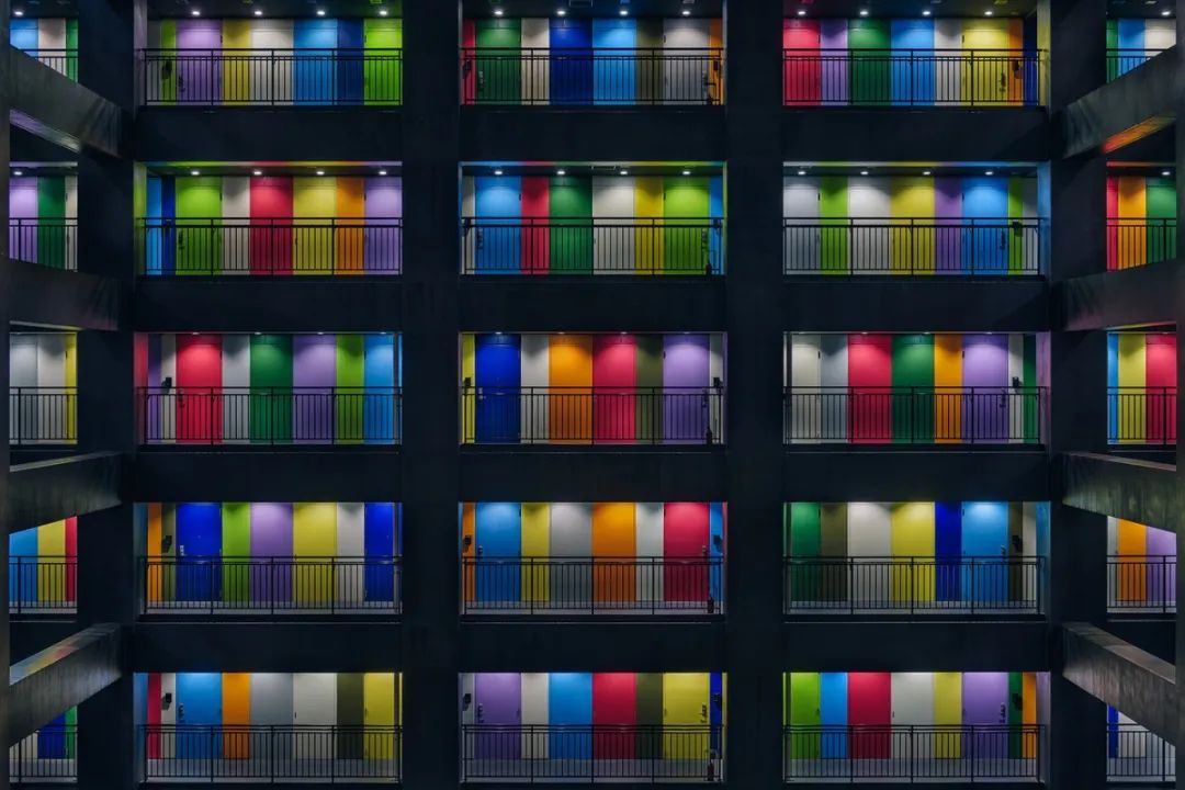 密集恐惧症一下被治好了,这位摄影师