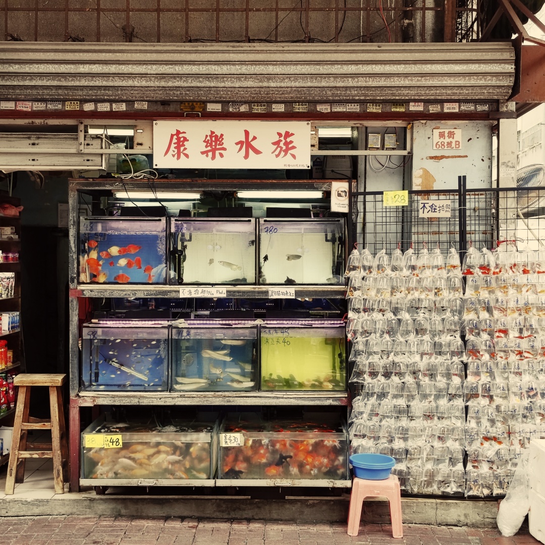 朗廷旗下英伦风酒店,香港朗廷酒店4天3晚