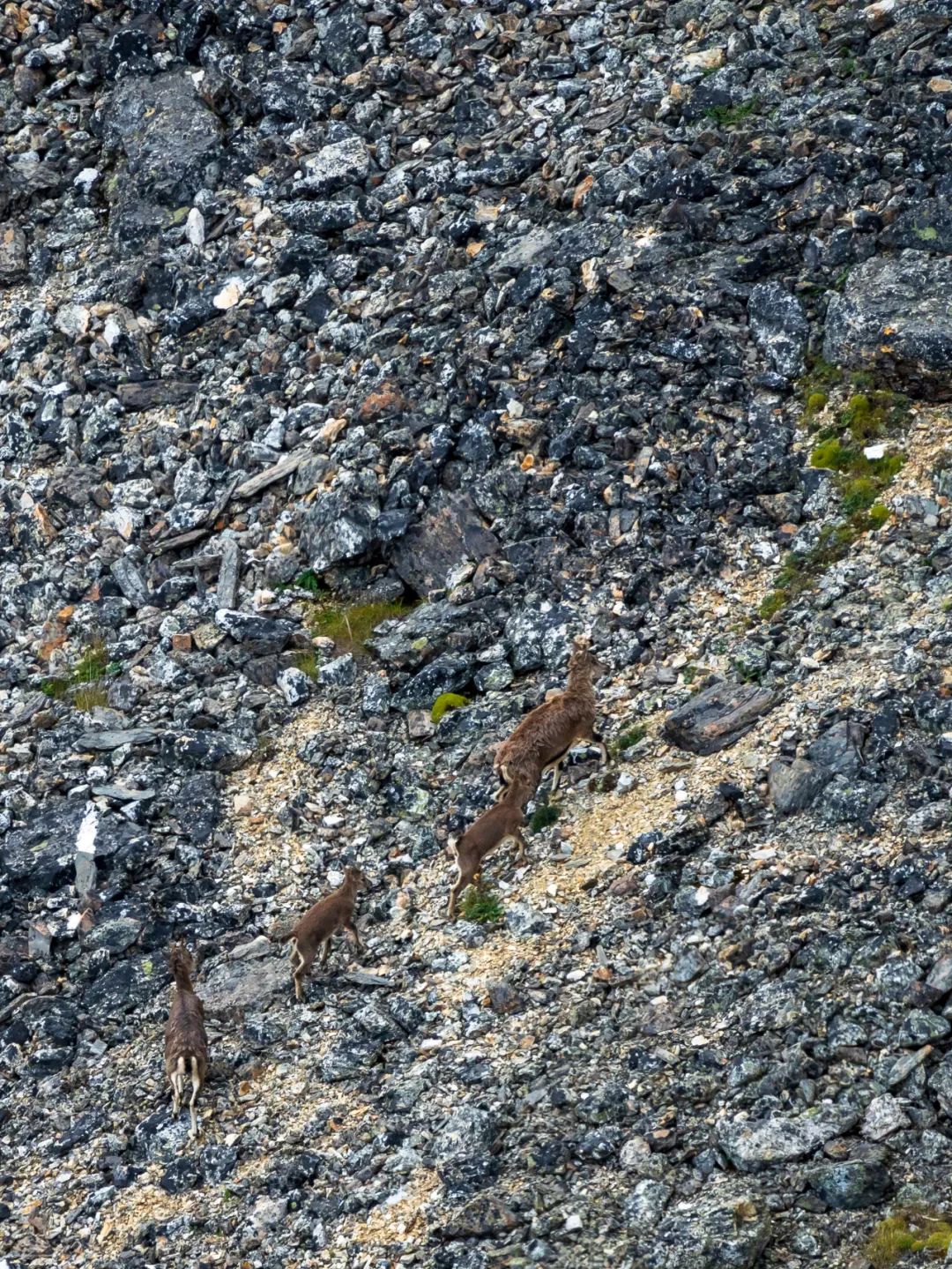 昆明七彩云南怎么样,七彩云南避暑家园