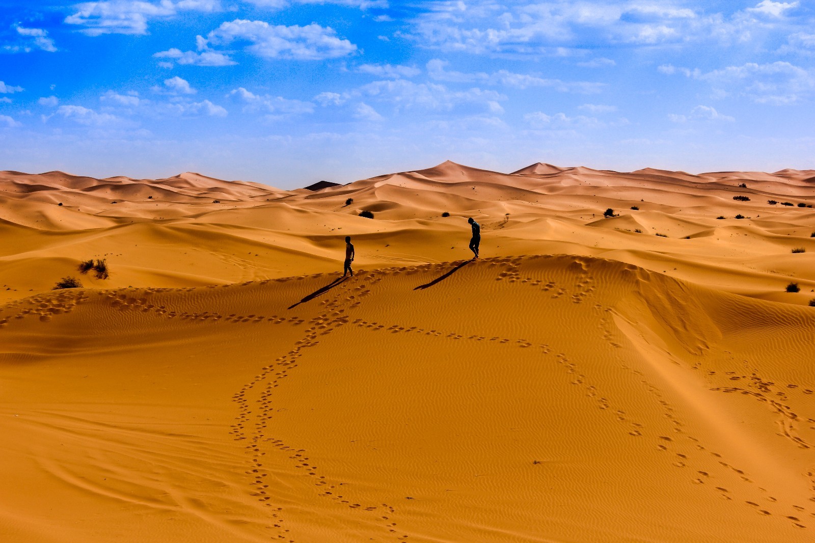在沙漠里口渴去哪里喝水,去沙漠注意事项和禁忌