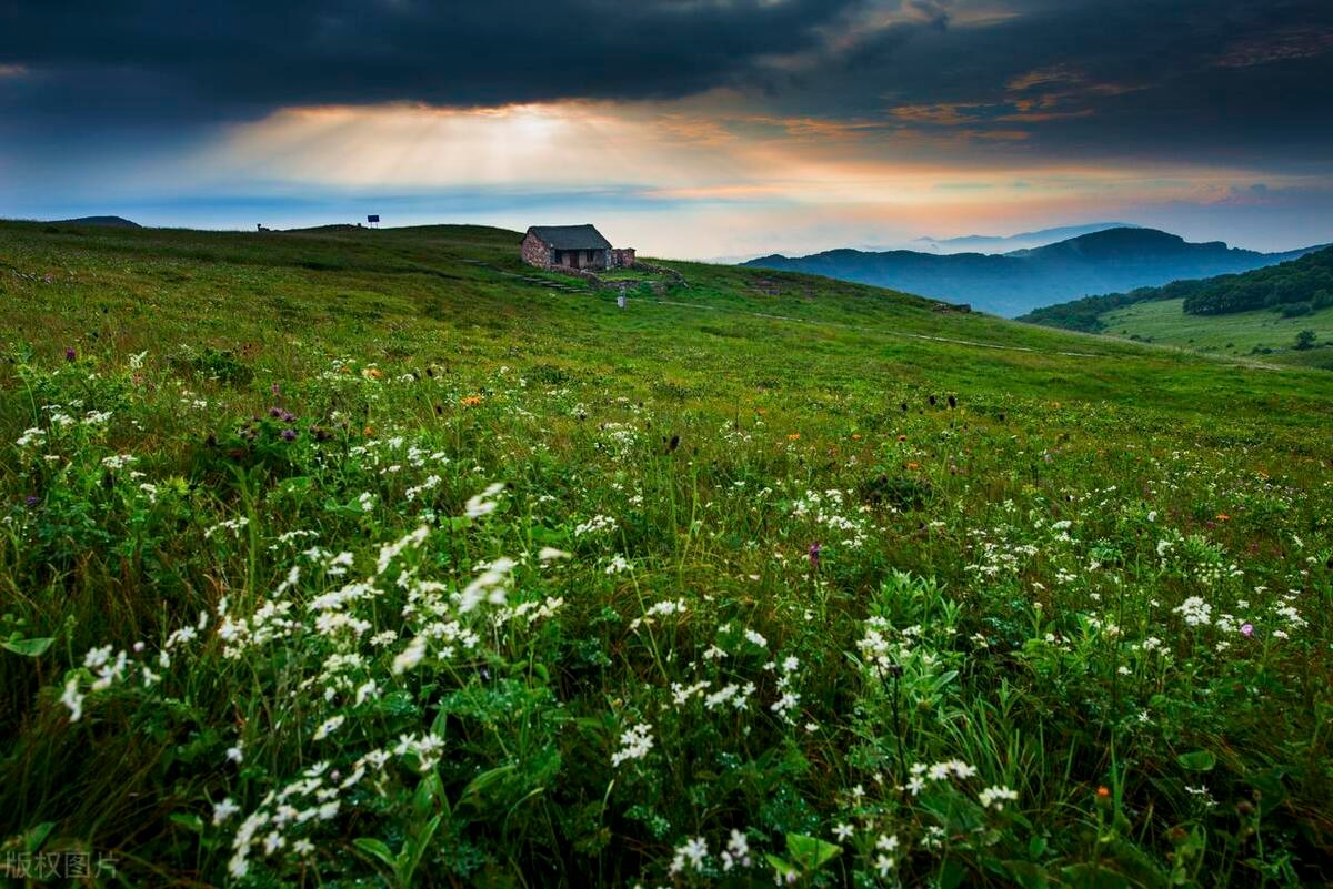 王莽岭避暑的好地方,王莽岭避暑怎么样