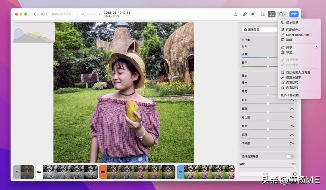 mac照片编辑软件免费,macos照片处理软件