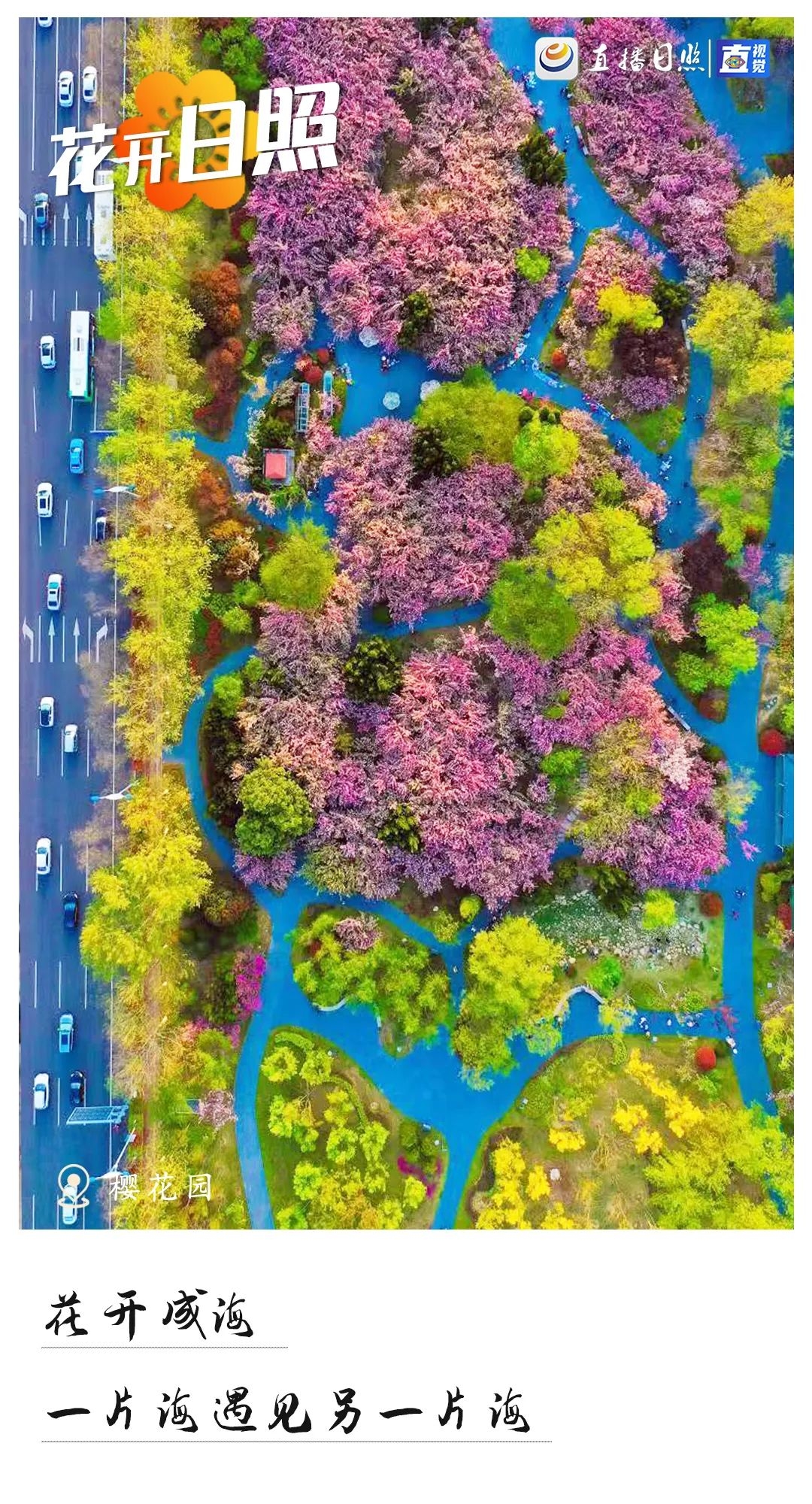 最美日照春暖花开,日照春暖花开旅游