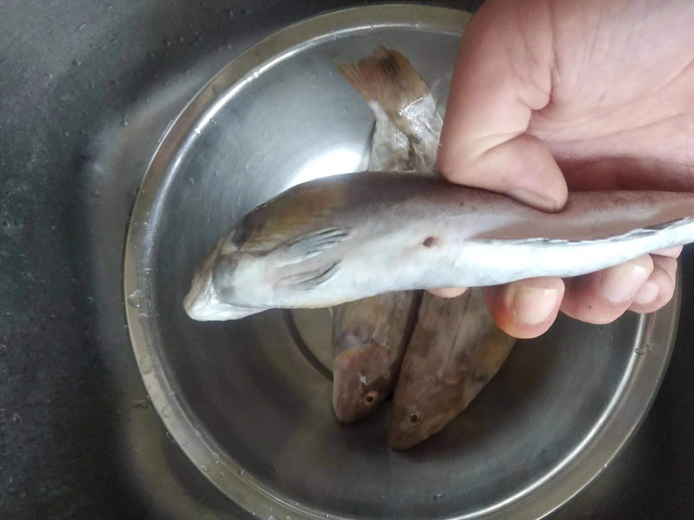 紧急提醒这5批次海鲜别买,海鲜黑幕揭秘