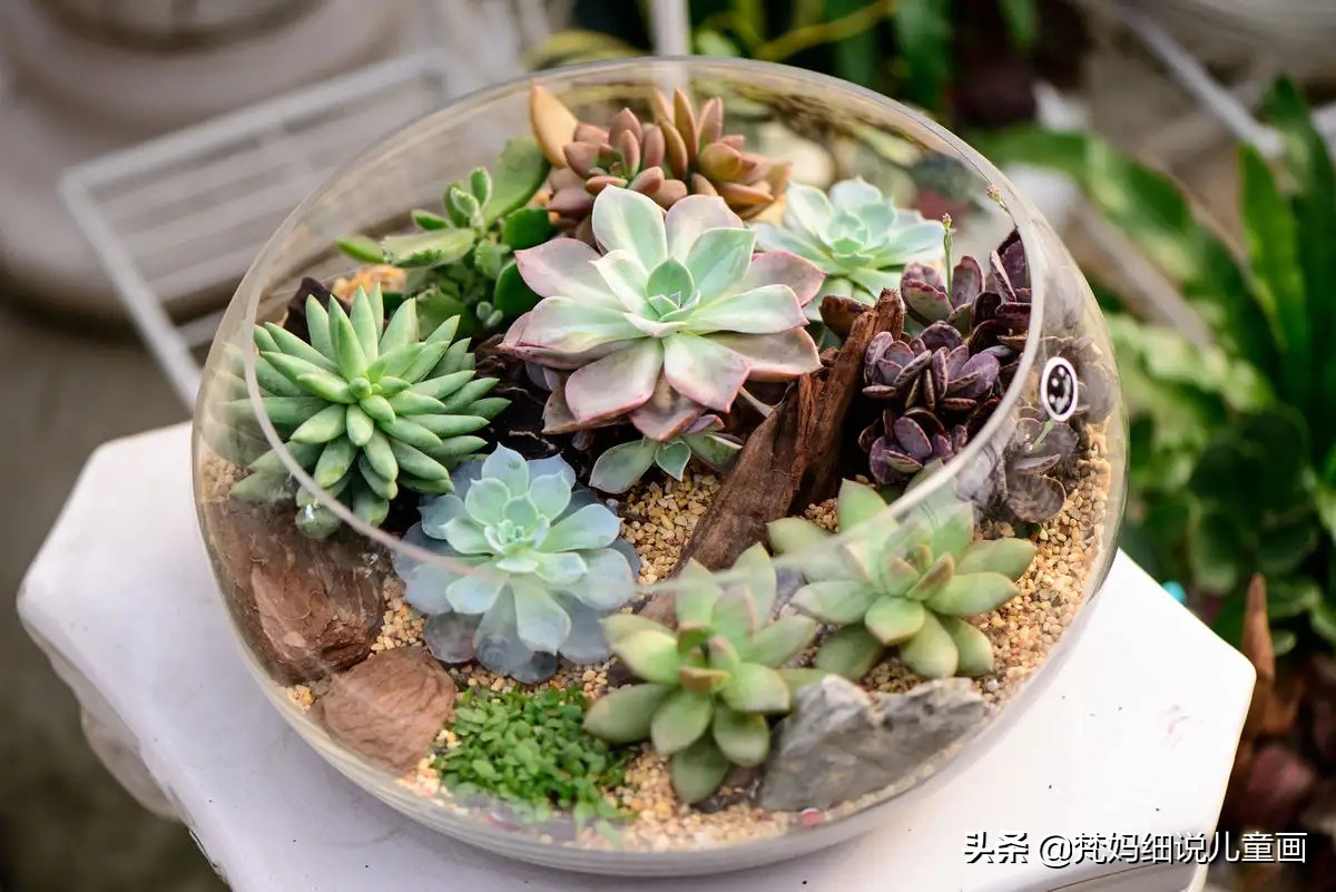 假期美术亲子DIY|超轻黏土的多肉,你喜欢吗?