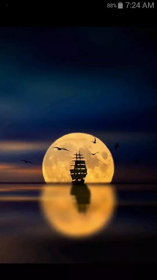 月亮里面真的有嫦娥吗,你相信月亮上真的有嫦娥吗