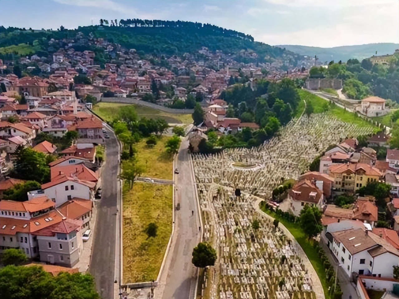 波黑地理环境,波黑原始森林
