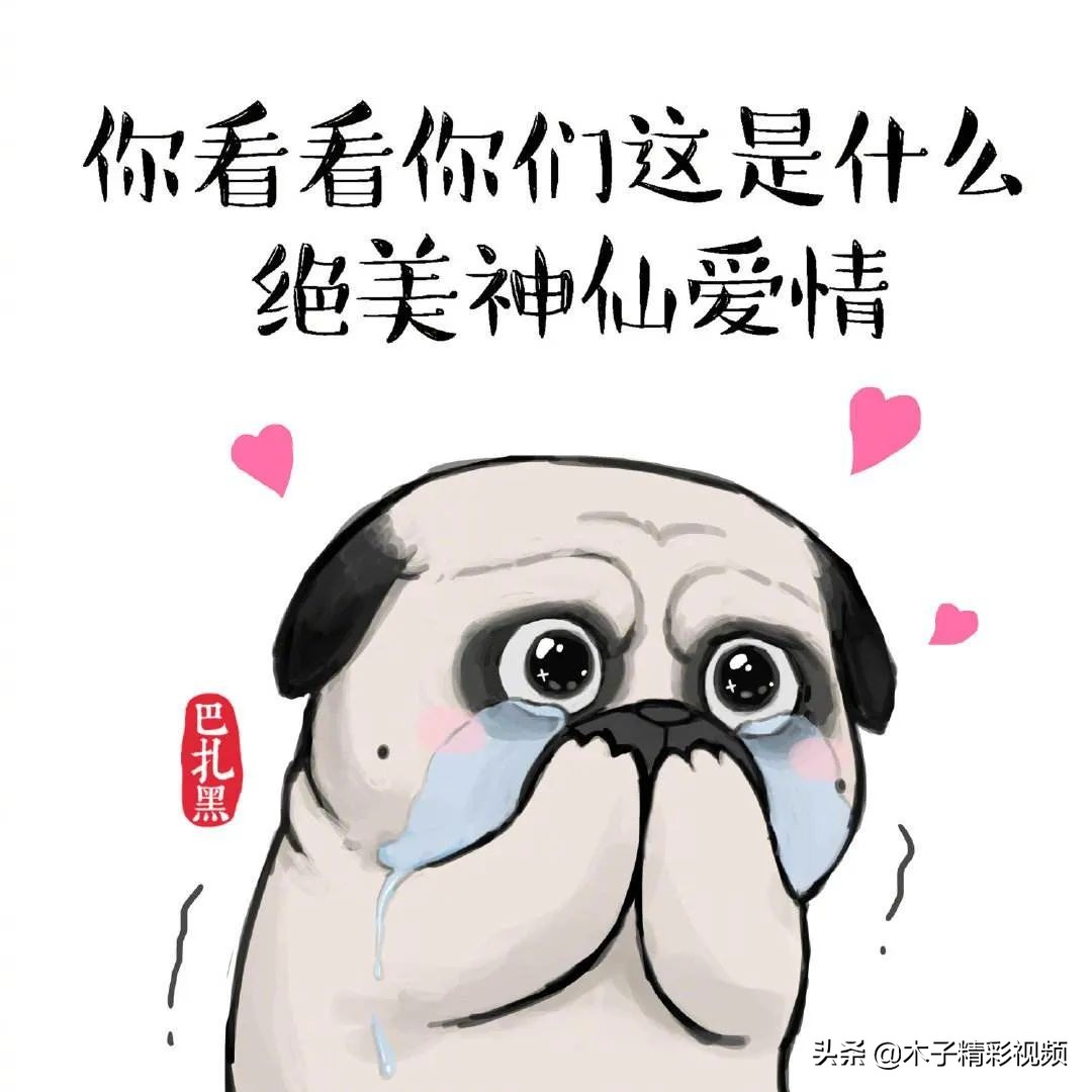 郴州“苏仙岭福地广场”改造方案发布!福地广场是这样提质改造的