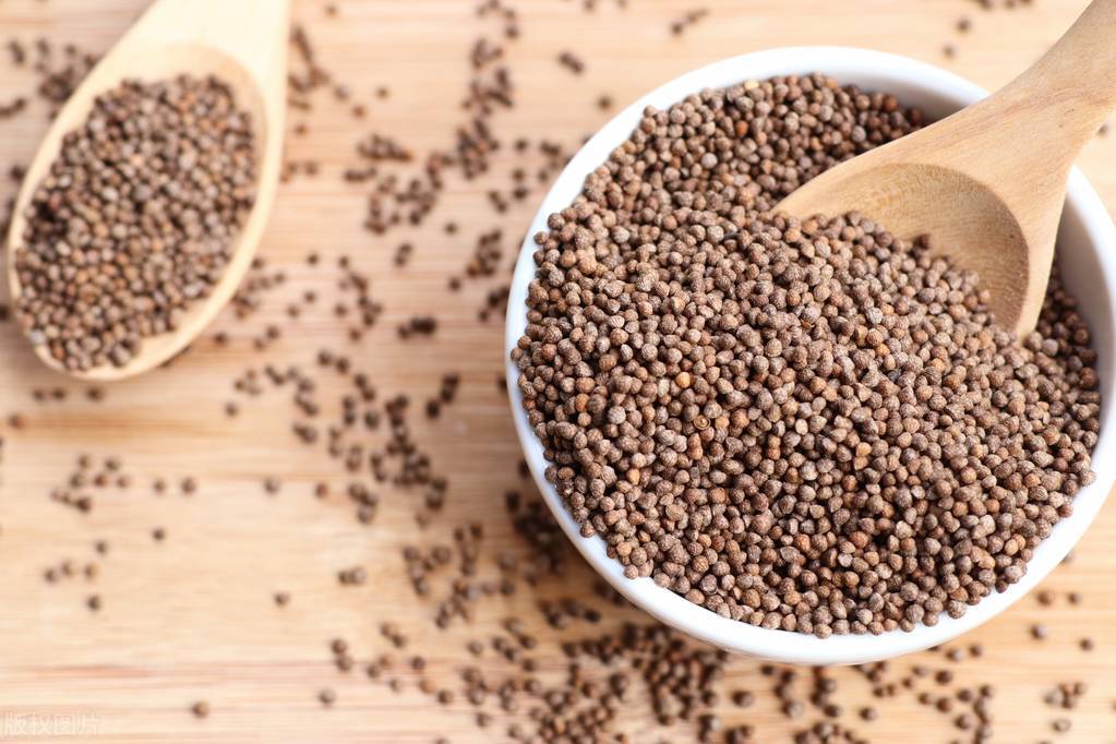 药食同源紫苏,药食同源紫苏的功效