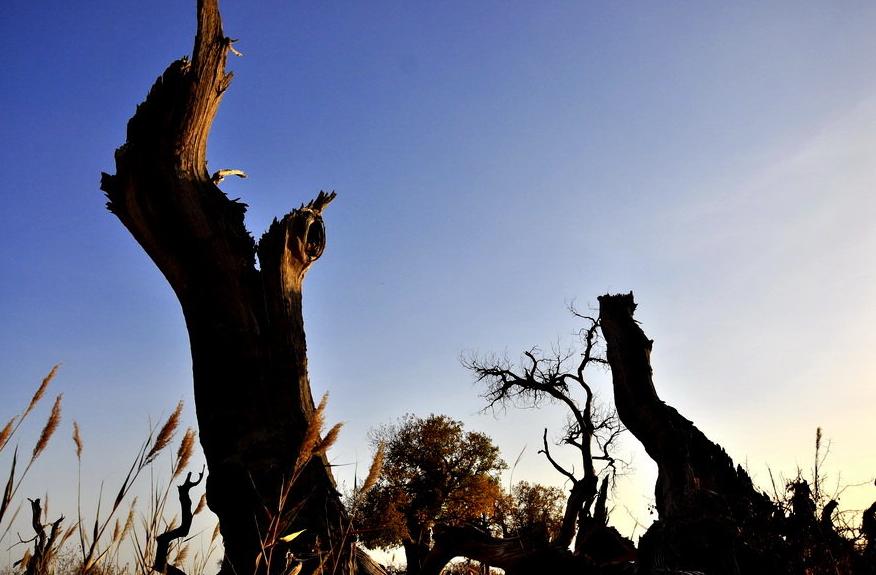 中国历史上最凄凉的六首诗,古今最有名的十首诗排名