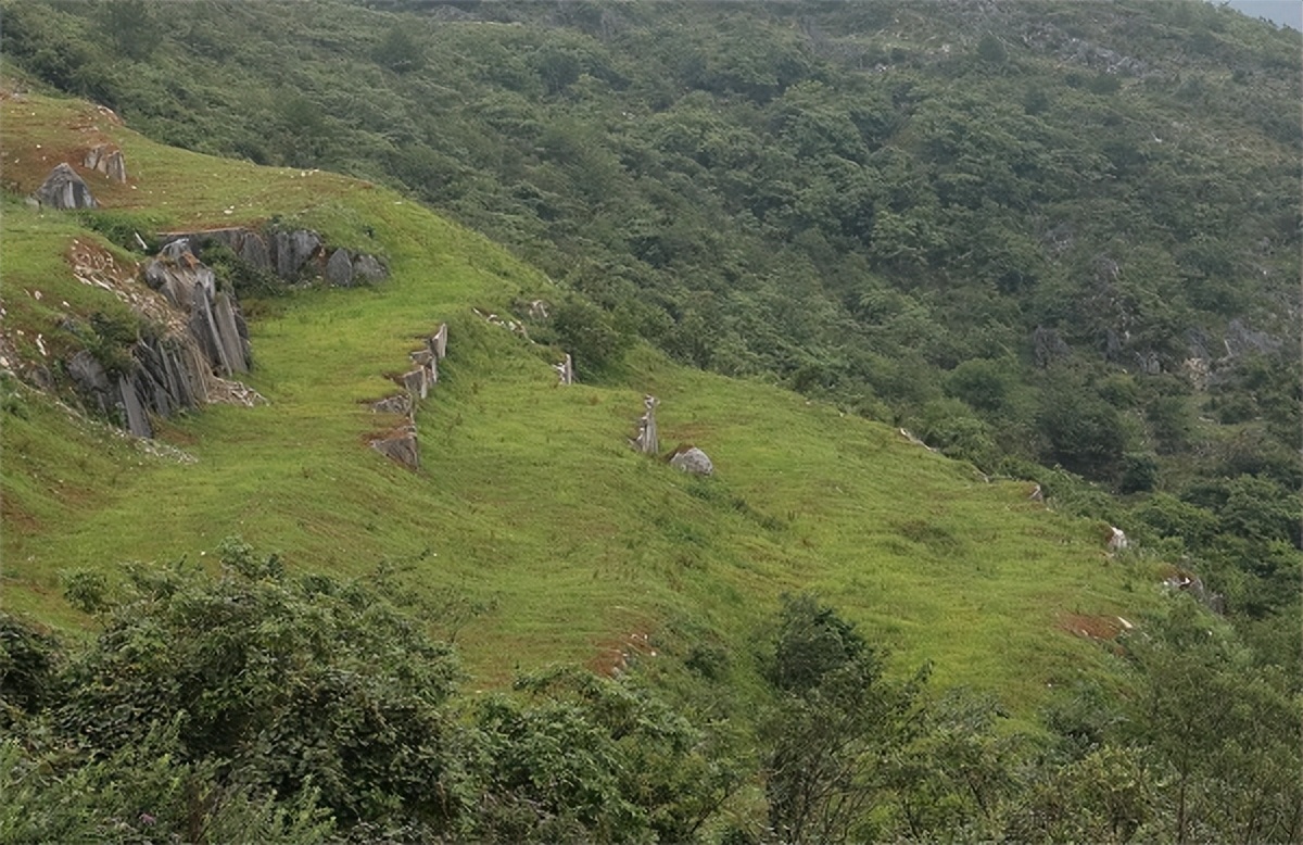 大山治愈的视频,大山的治愈视频