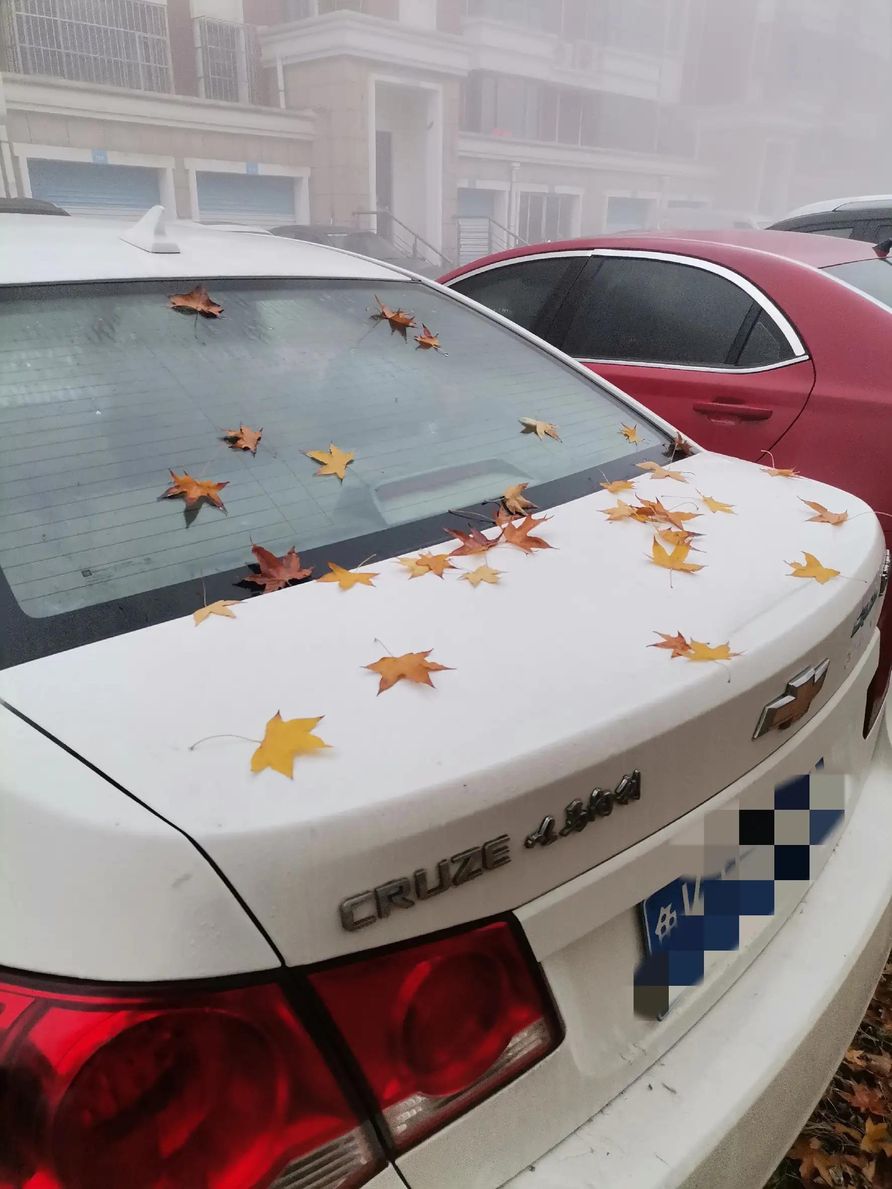 12年雪佛兰科鲁兹使用手册,12年雪佛兰科鲁兹银灰色