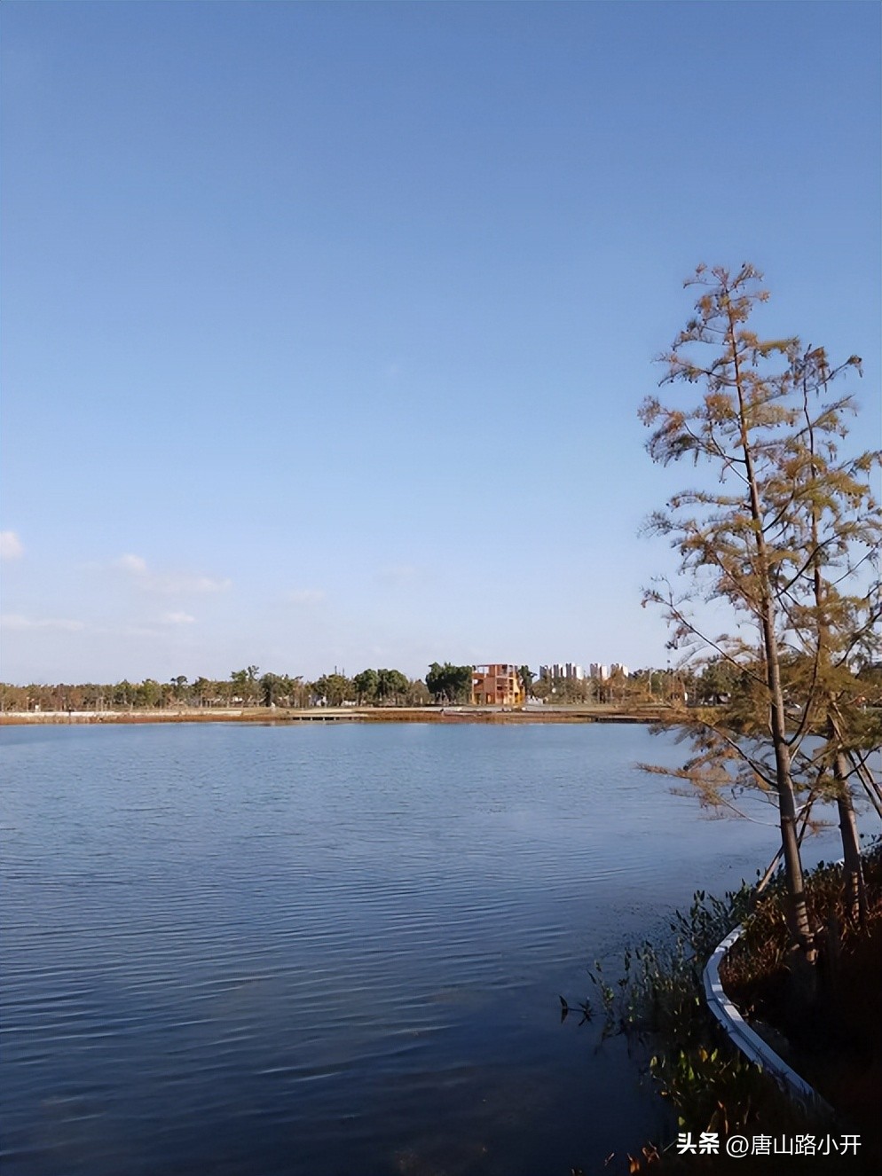 表弟总在外面发财,表弟发财视频完整版