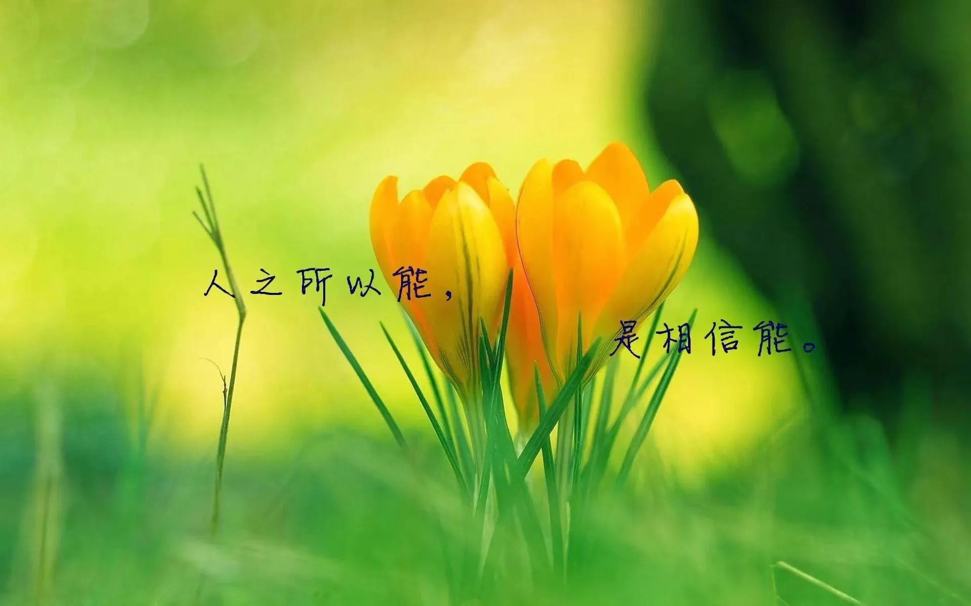 温州商人50个创业故事,年轻小伙创业故事