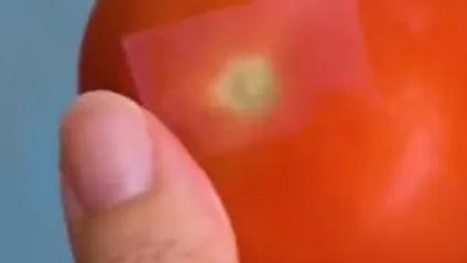 生活小妙招面包发霉了怎么办,面包没过期发霉了怎么处理