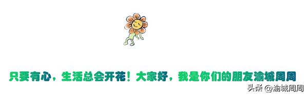 世界杯球场草皮是真的吗,足球场的草坪世界杯