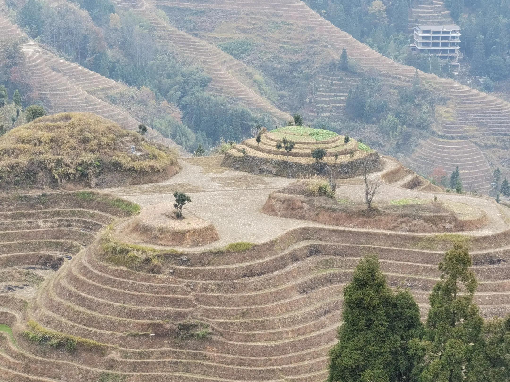 疫情中的成长与收获,疫情期间自己的收获和感受