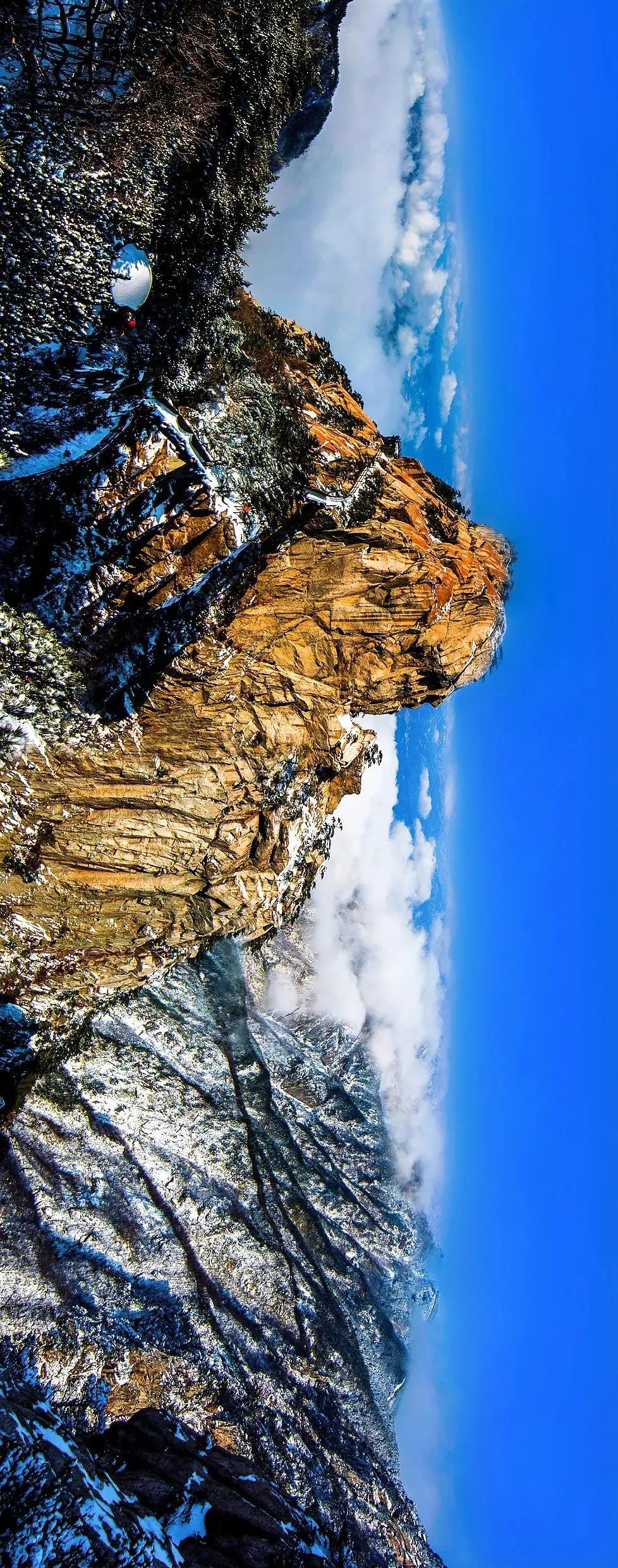 湖北有哪些红茶,湖北最受欢迎红茶