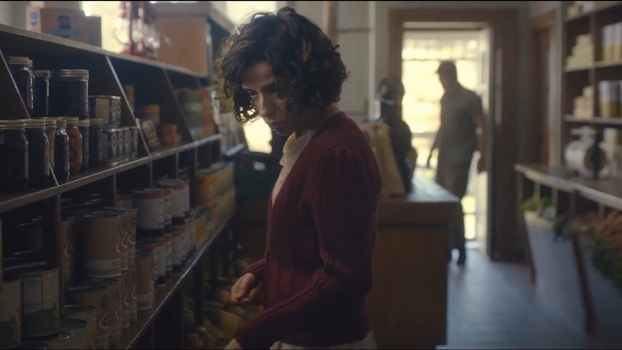 现实版隐入尘烟视频,隐入尘烟事件