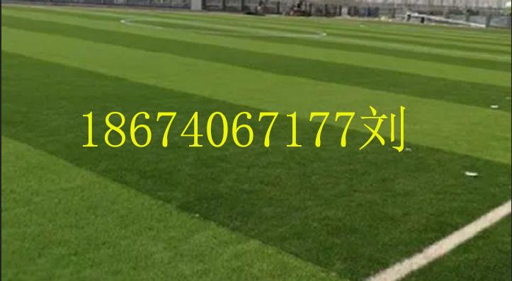 人造草坪铺设橡胶颗粒方法,假草坪为什么要撒橡胶颗粒