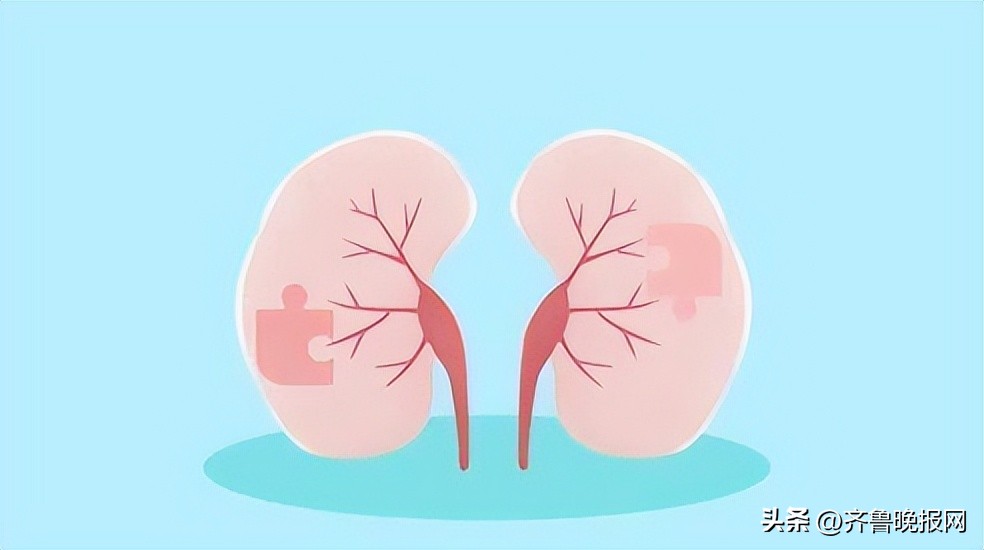 汇仁肾宝片怎么吃效果好,汇仁肾宝片有多少味中药温补肾阳
