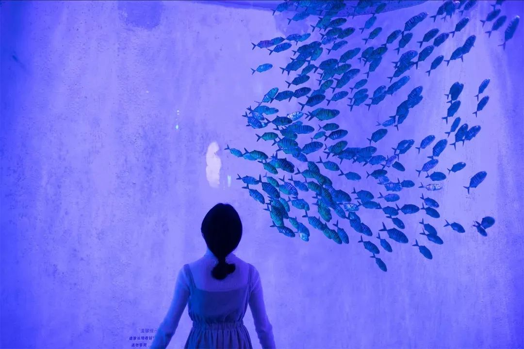 深圳小众沙滩,深圳小众海边