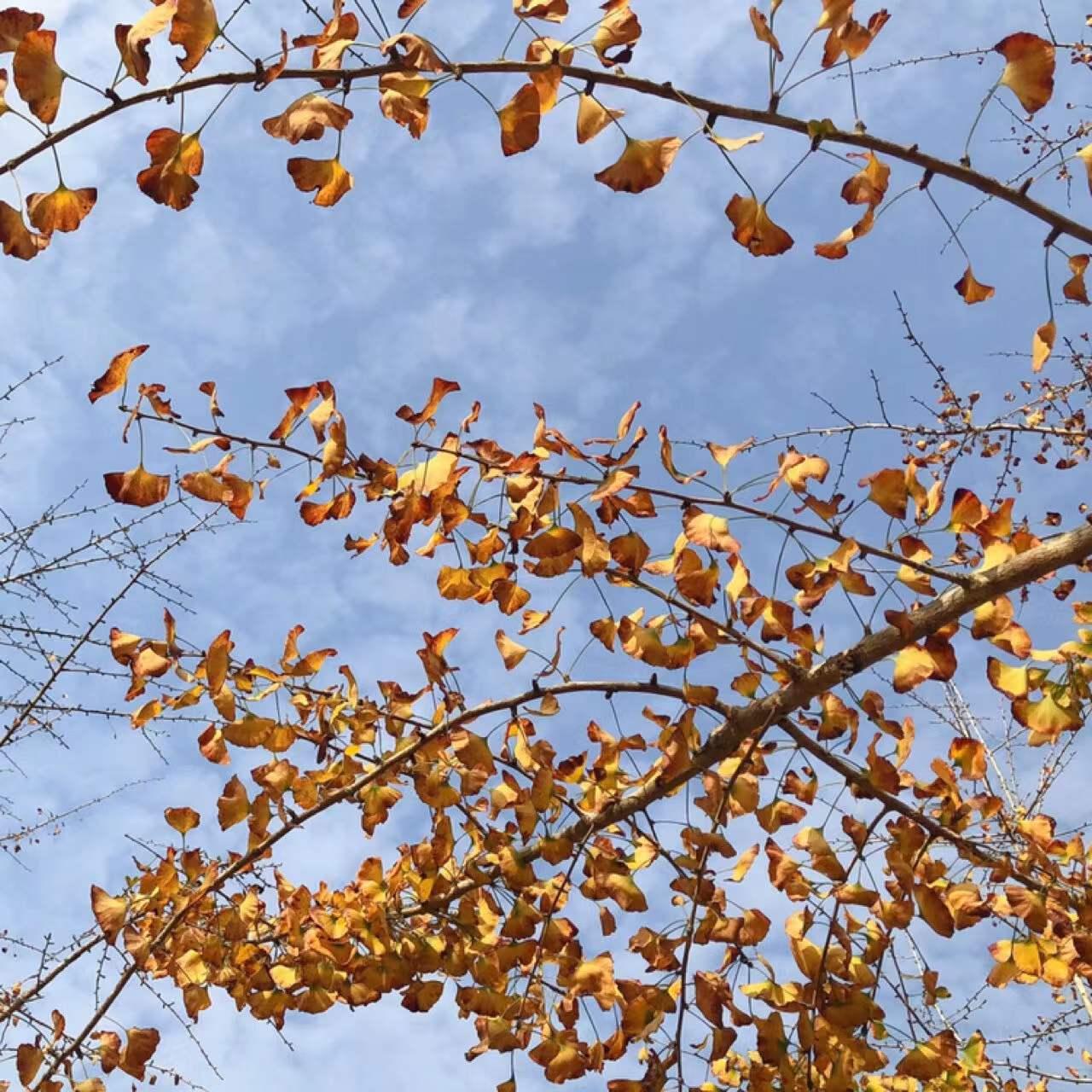 韶关的城市风景,韶关有山有水人少的旅游地