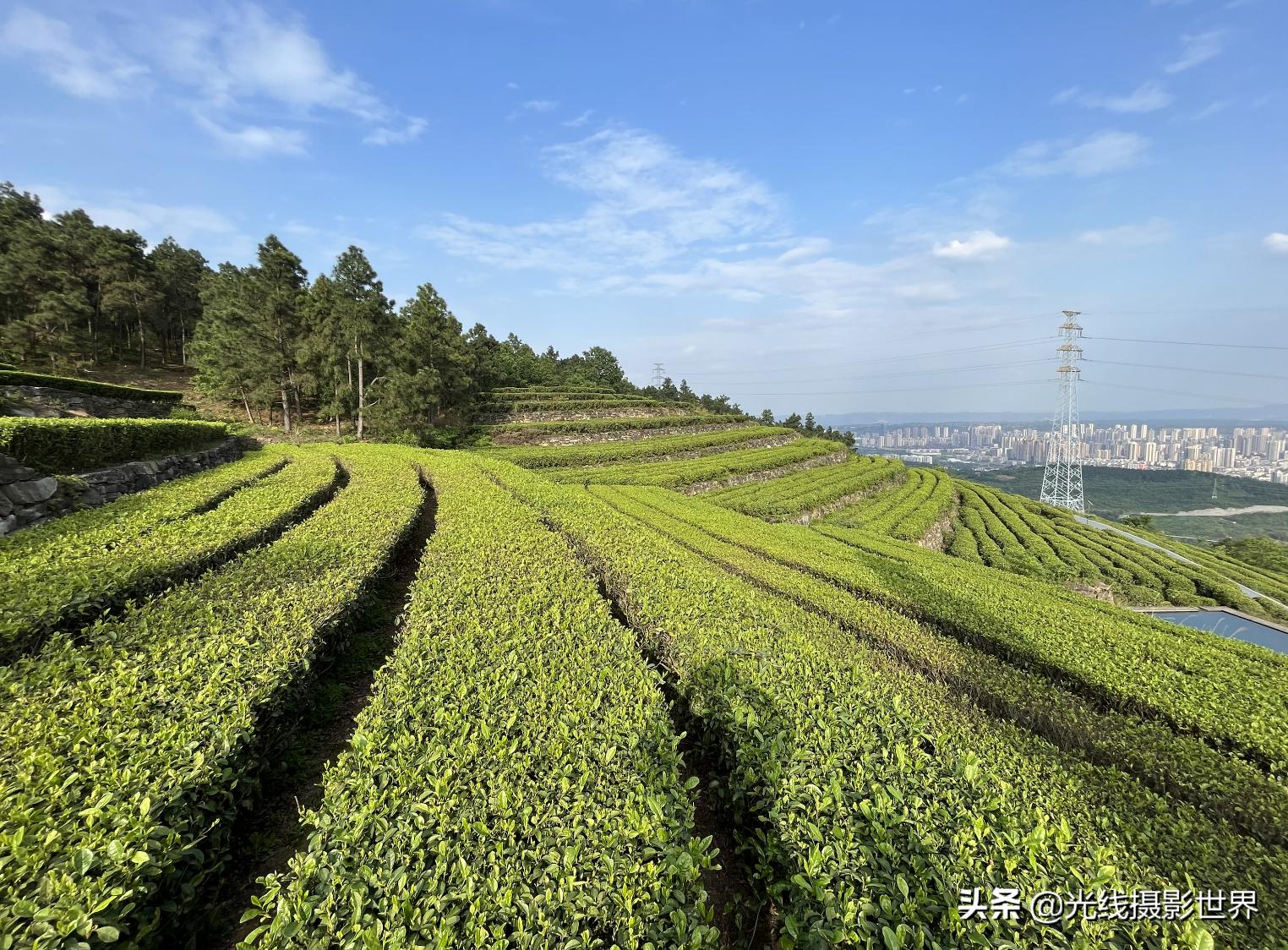 永川茶山竹海风景区门票优惠政策,永川茶山竹海2021年旅游日免费吗
