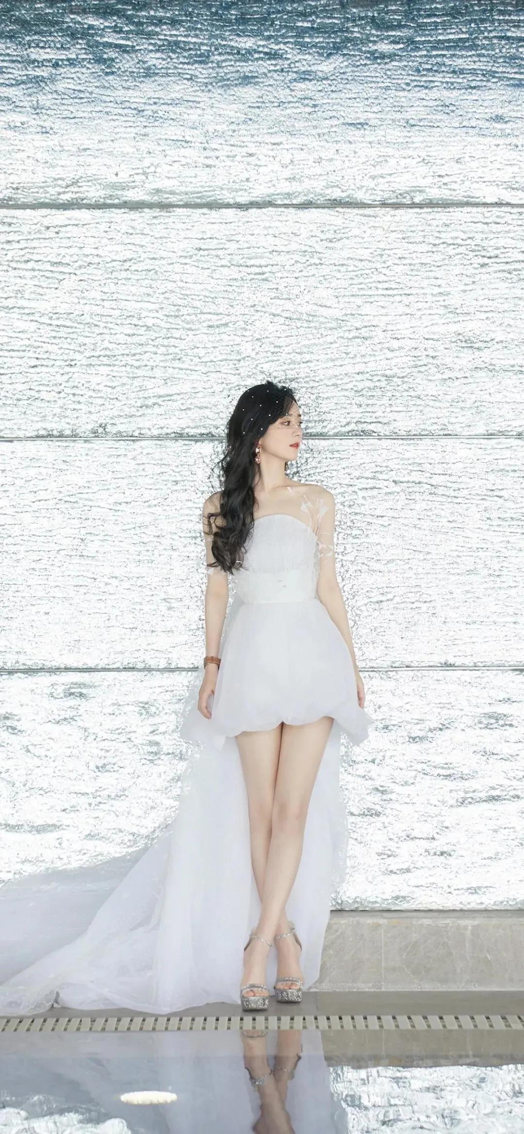 文字潮壁纸高清4k蓝红,暴力熊4k超清壁纸潮