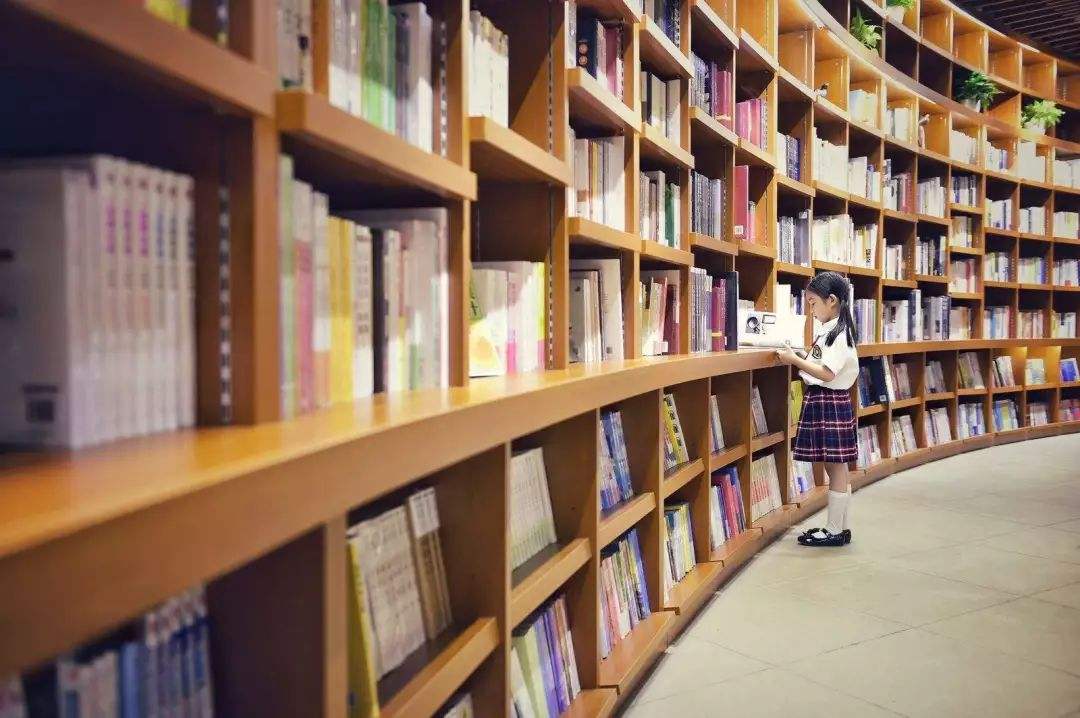 新手小白做自媒体20天的收益如何,一篇文章收益达到100