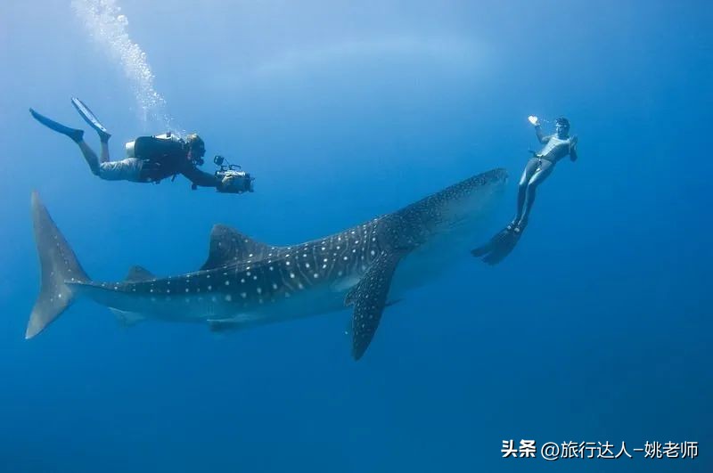 国内有直飞马尔代夫的航班吗 (北京上海直飞马尔代夫复航)