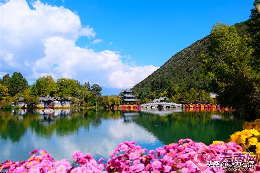 丽江黑龙潭玉龙雪山倒影美图,丽江早晨黑龙潭风景区