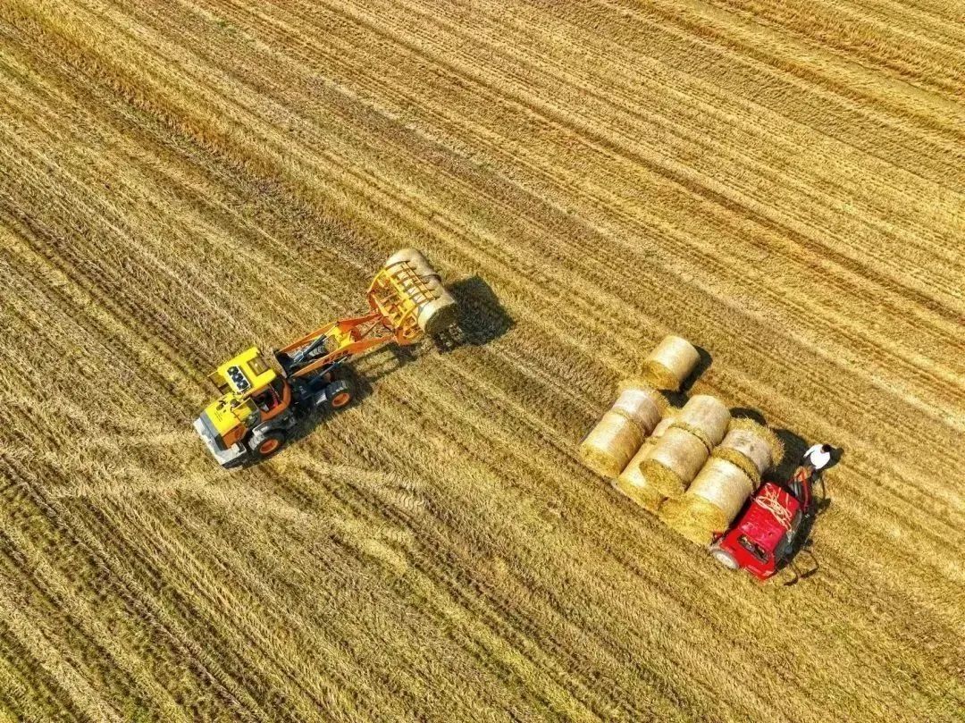 悬念揭晓在即,悬念揭晓视频
