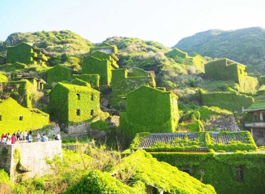 枸杞岛亲子游攻略 (枸杞岛自驾游攻略)