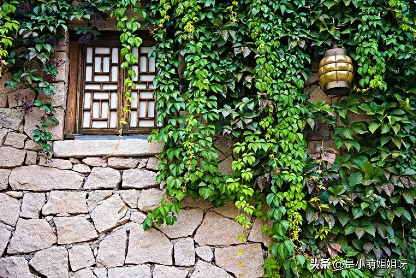 想要成功就要努力的奋斗,想要成功就得努力