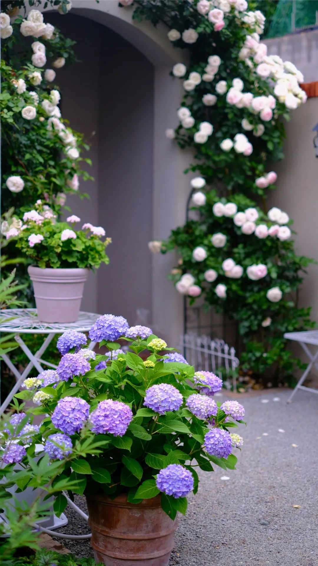 她在大连建了一座可以随便“折腾”的花园，处处体现着自然美感