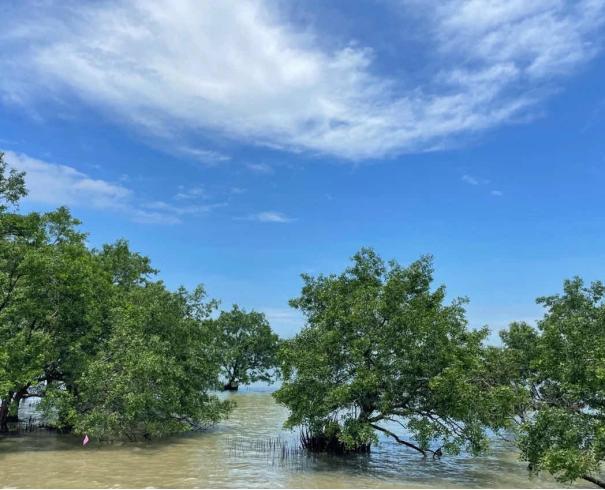 深圳绿色公园,深圳宝安值得去的公园