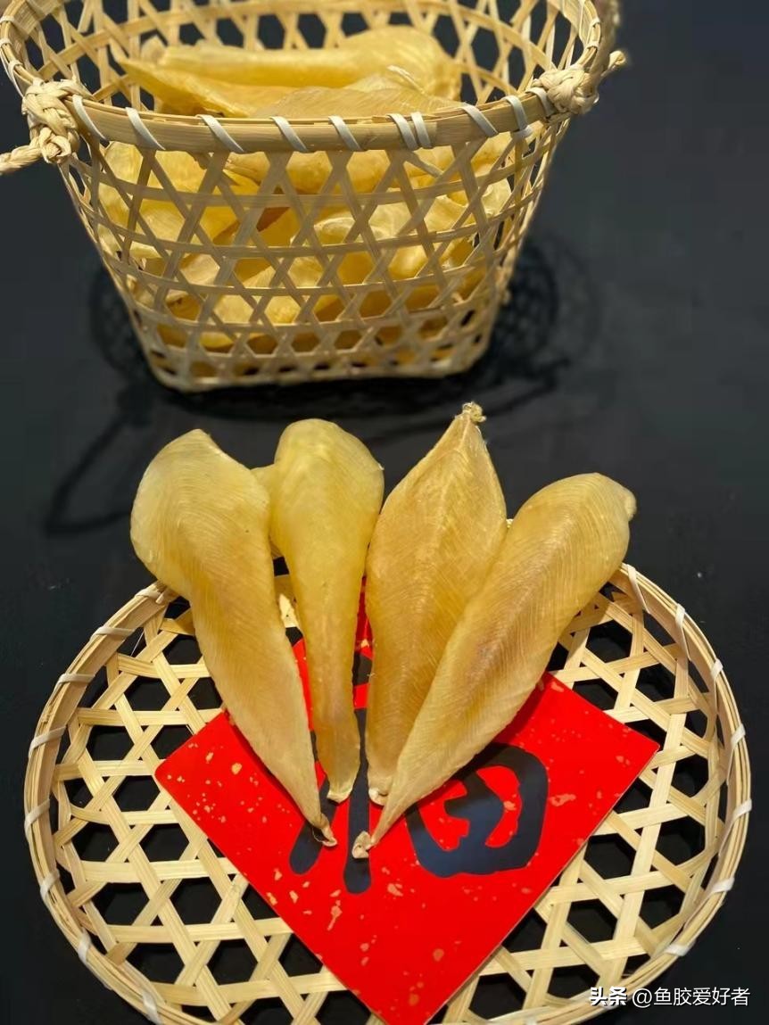 买鱼胶到哪里才买到真货,辨别鱼胶质量的好坏