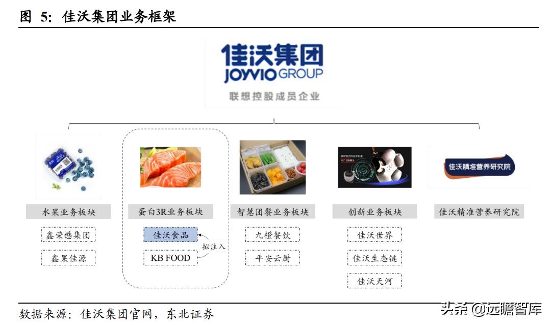 佳沃智利新三文鱼工厂,佳沃食品智利三文鱼