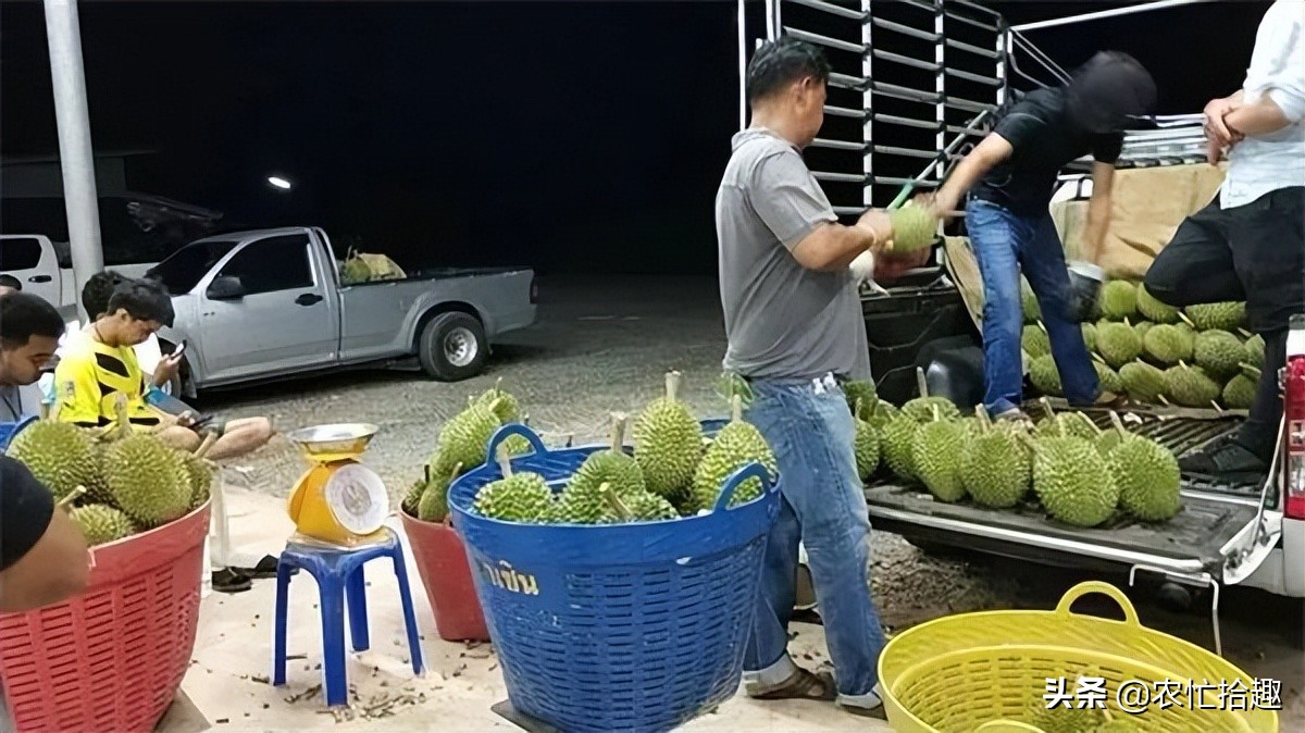 刚上市就暴跌,刚发售就崩盘