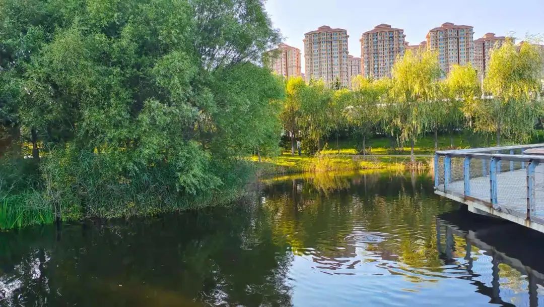 疫情结束后，每个秦皇岛人都想完成的50件小事！