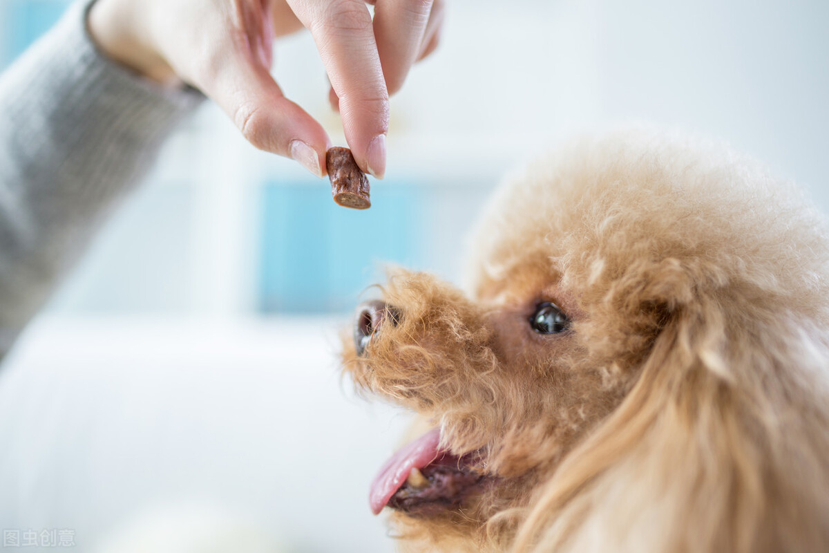 狗狗拉肚子和呕吐要禁食几天,狗狗拉肚子呕吐的原因