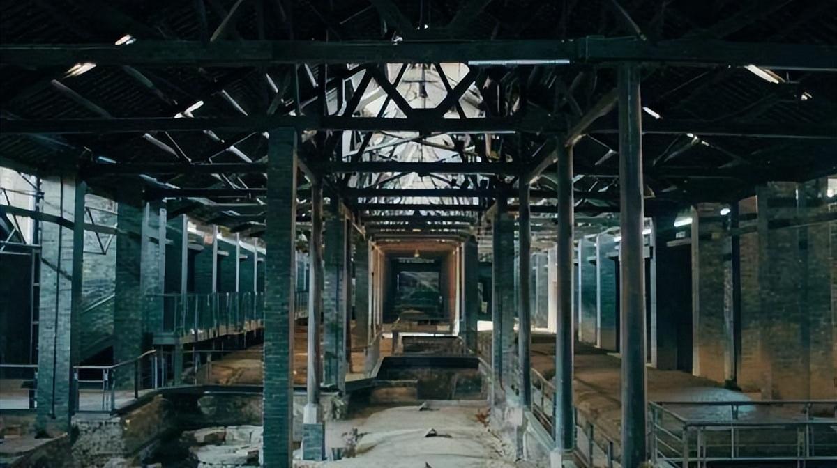 水井坊1号菌群,水井坊一号