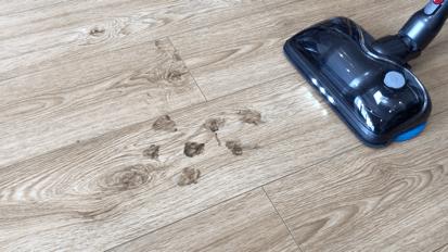 吸尘器推荐家用第一名松下,吸尘器测评实测销量第一名