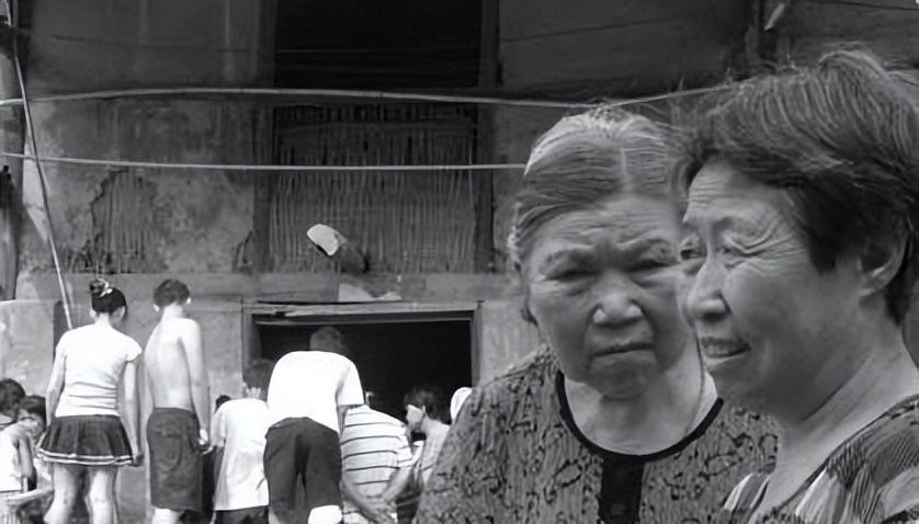 海南巨蟒现状,50年代南海巨蟒事件