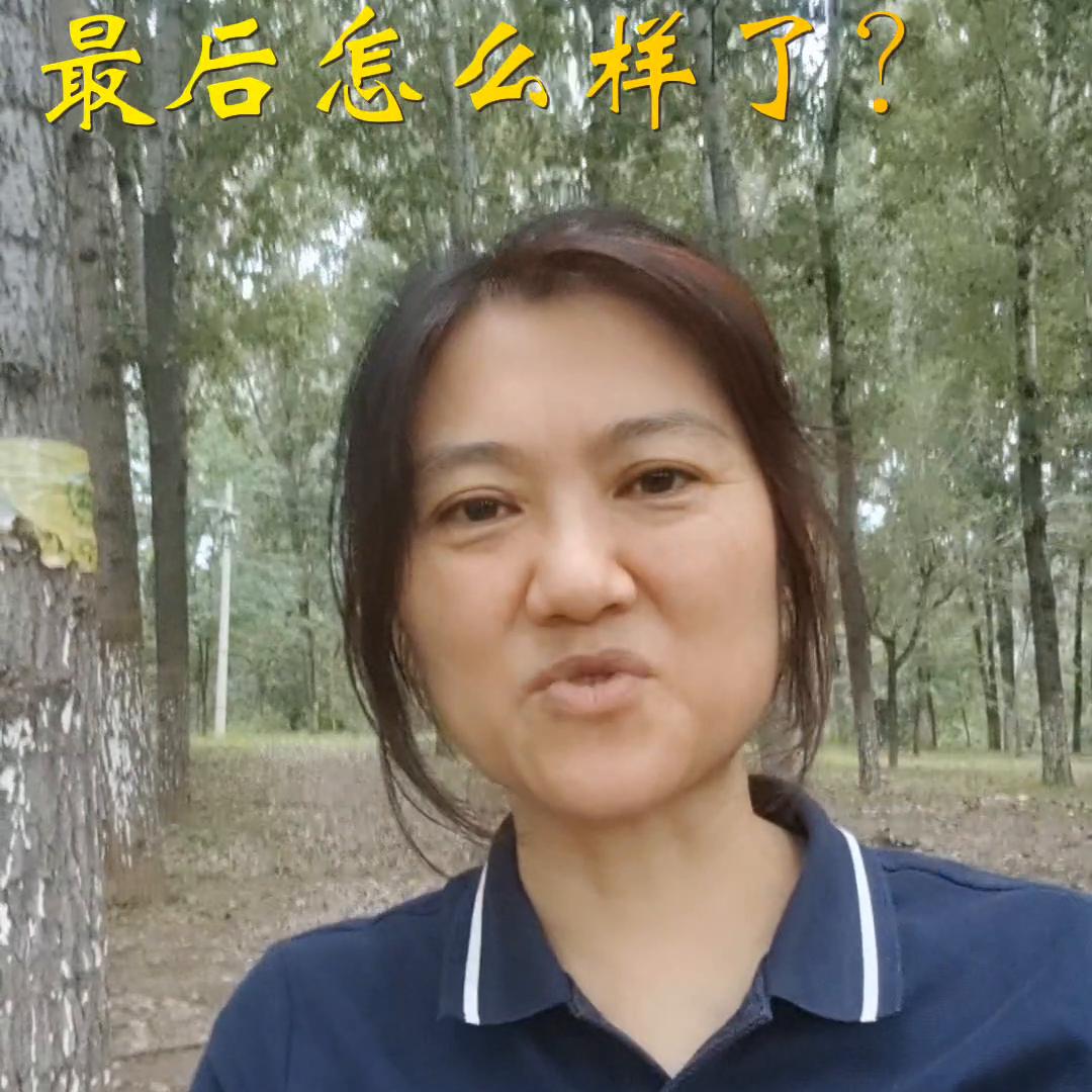 桑叶养生,桑叶养生果冻