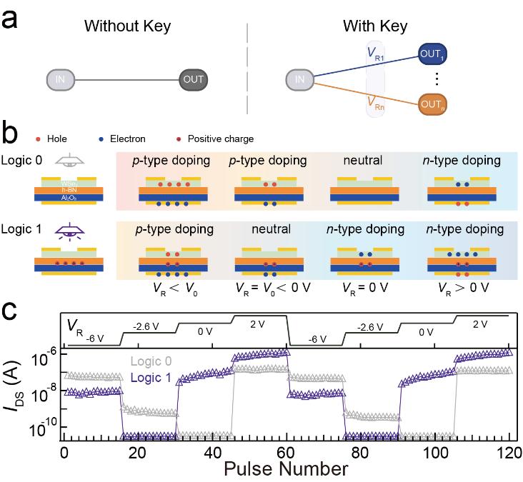 南大缪峰教授,缪峰南大